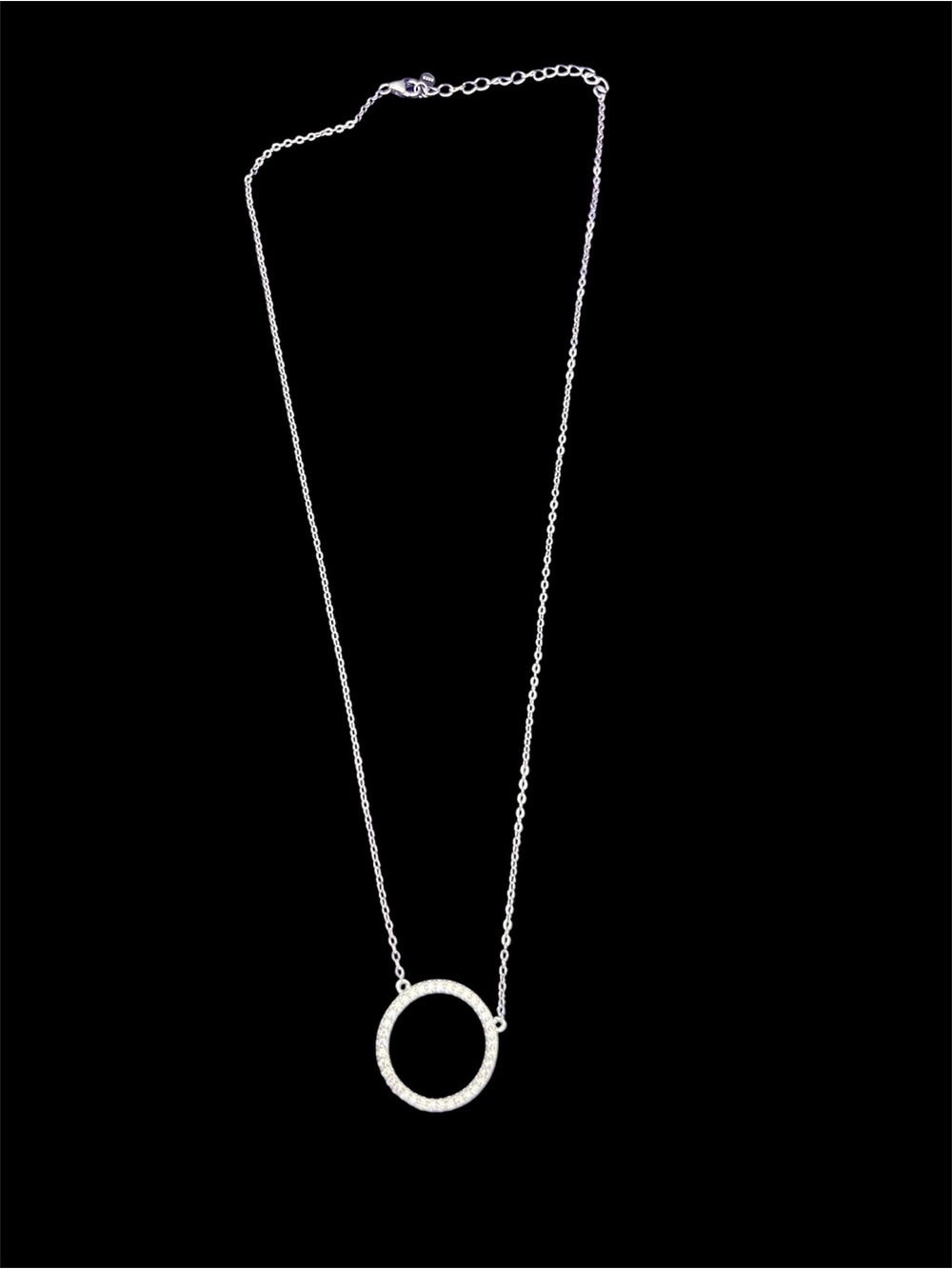 Delicate Circle Pendant Necklace in Silver